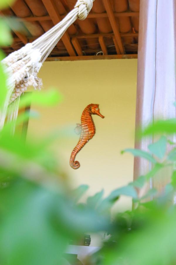 Casa Da Tete Apartment Fernando de Noronha Ngoại thất bức ảnh